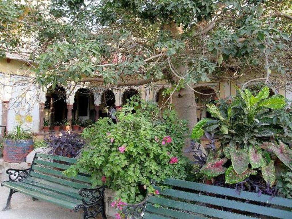 Bassi Fort Palace Chittorgarh Ngoại thất bức ảnh